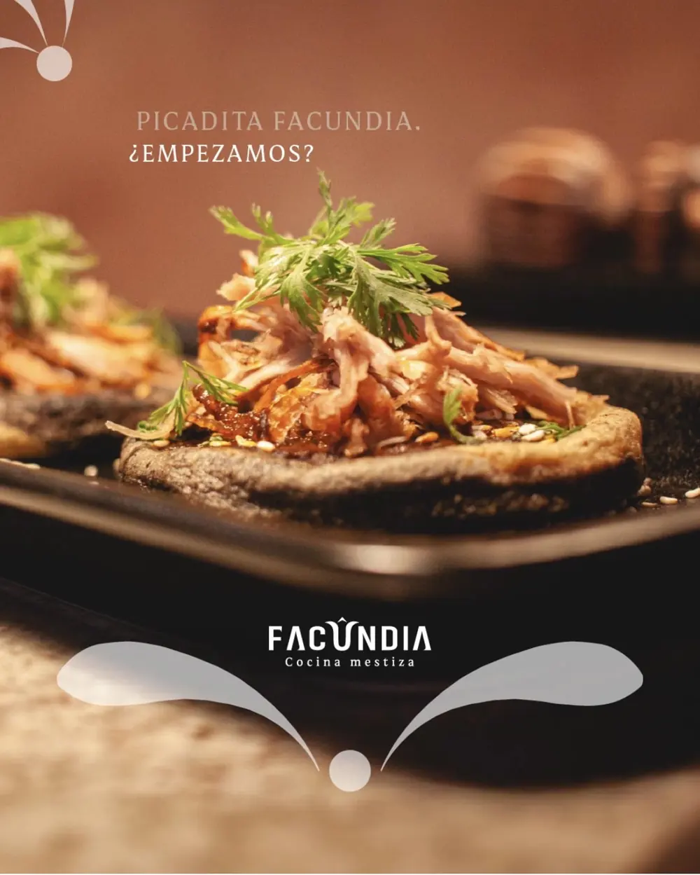 Pieza de contenido de autor para Facundia