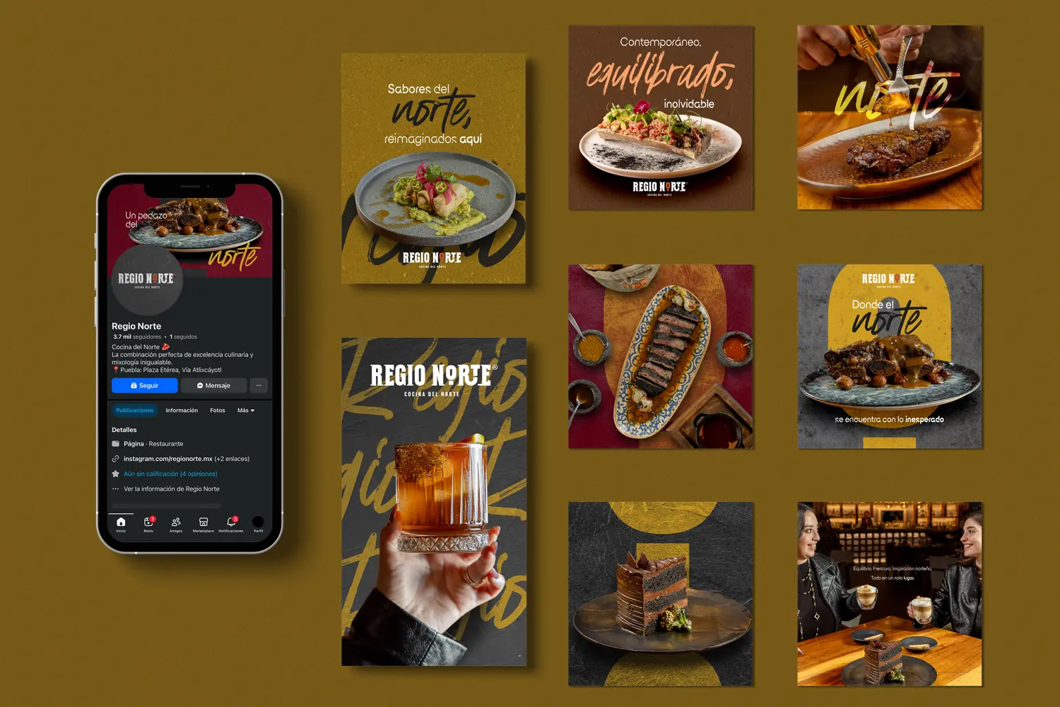 Sistema visual y parrilla de contenido para Regio Norte